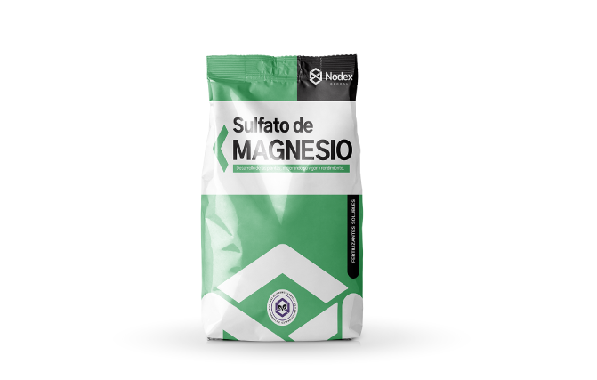 Magnesio